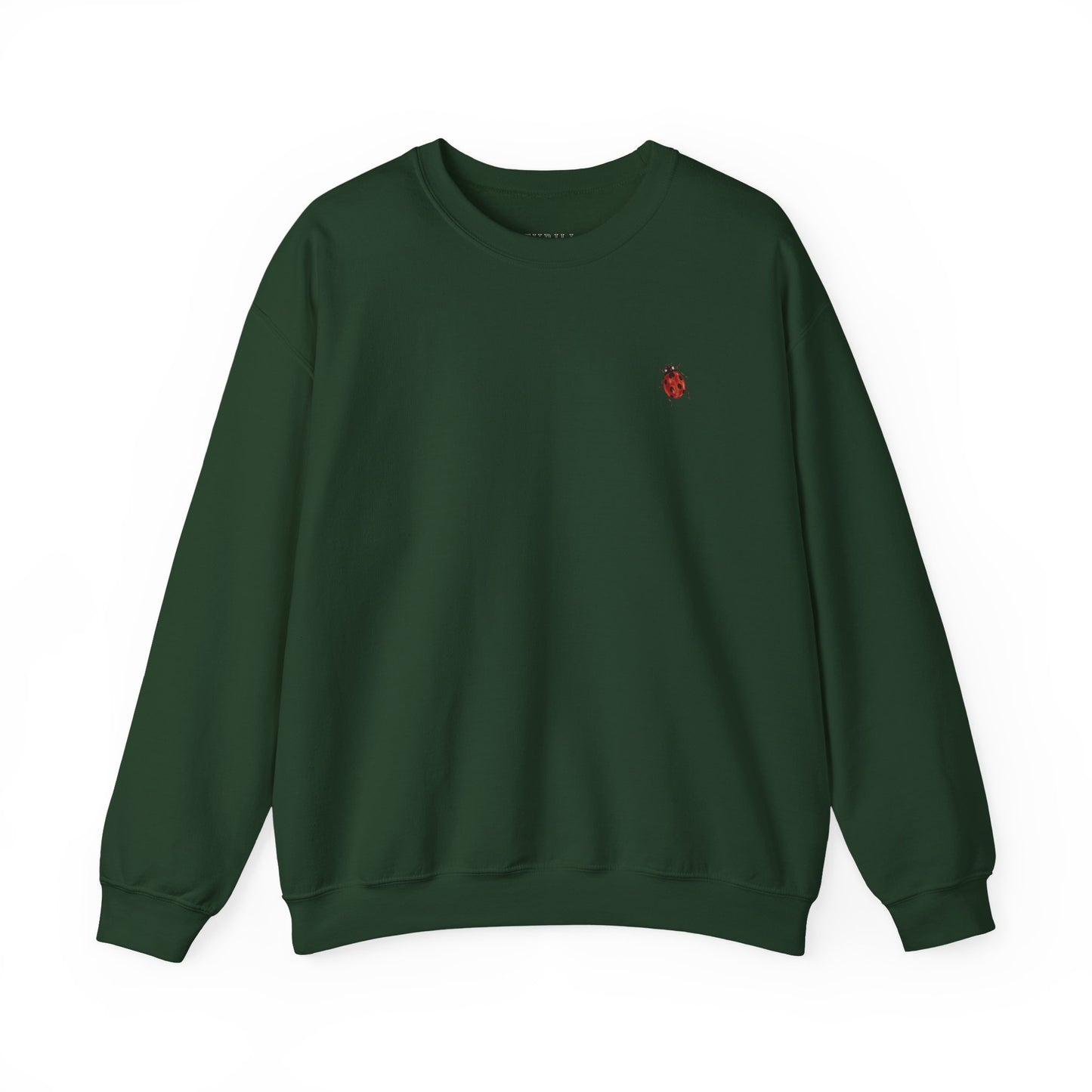 Cute Ladybug - Good Luck Sweatshirt