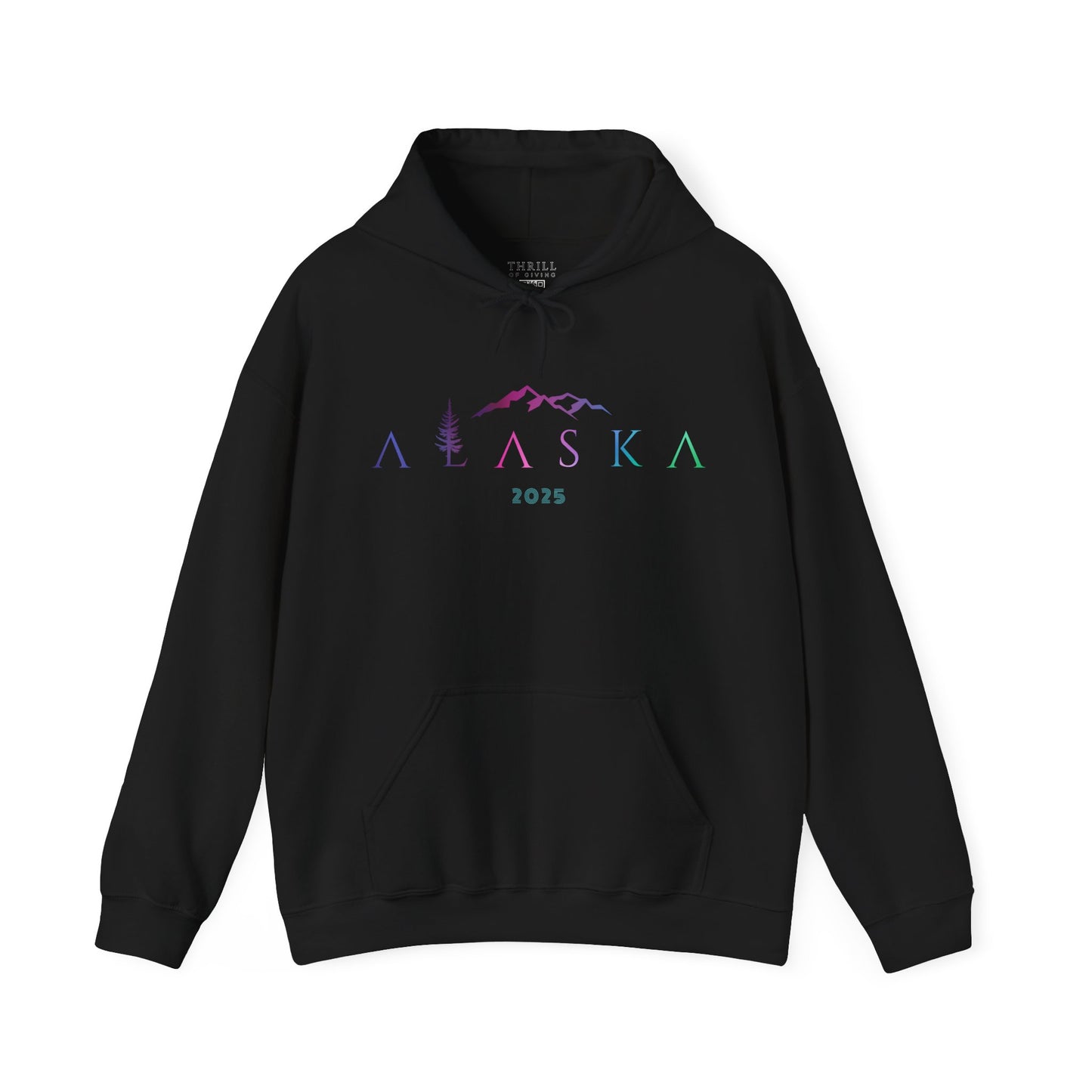 ALASKA Hoodie - Aurora Borealis EDITION