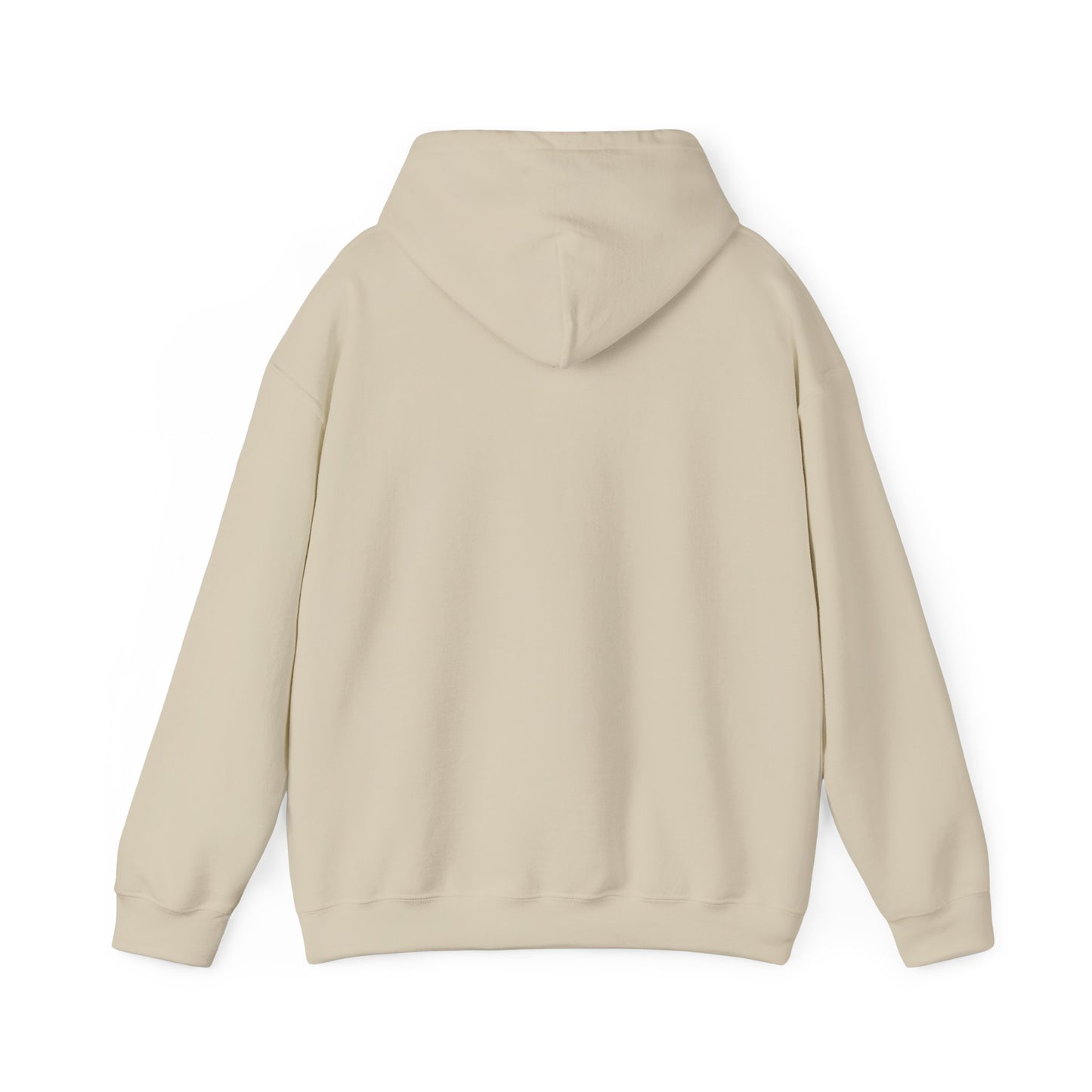 ALASKA Hoodie - Aurora Borealis EDITION
