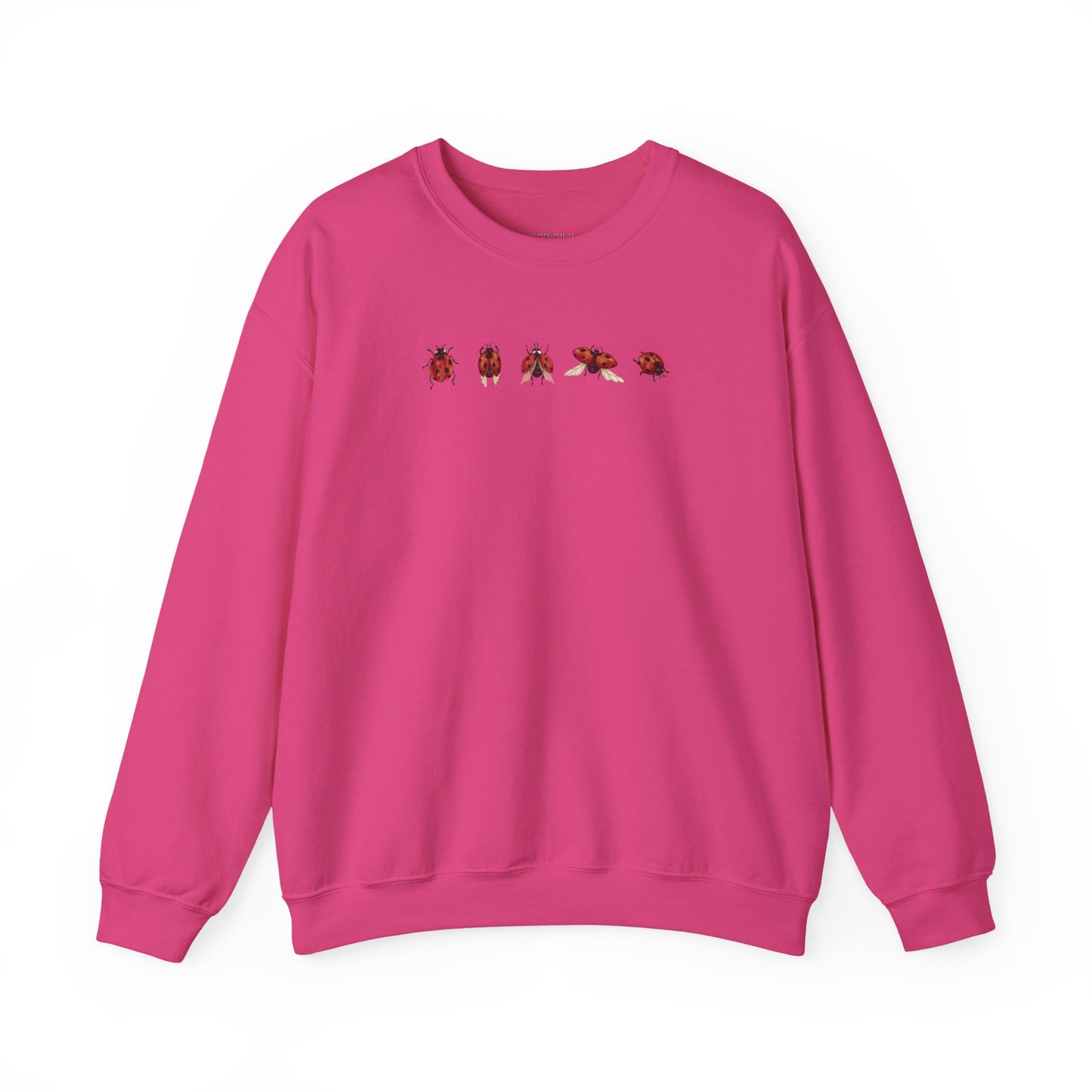 Minimal Ladybug Sweatshirt - Lucky You