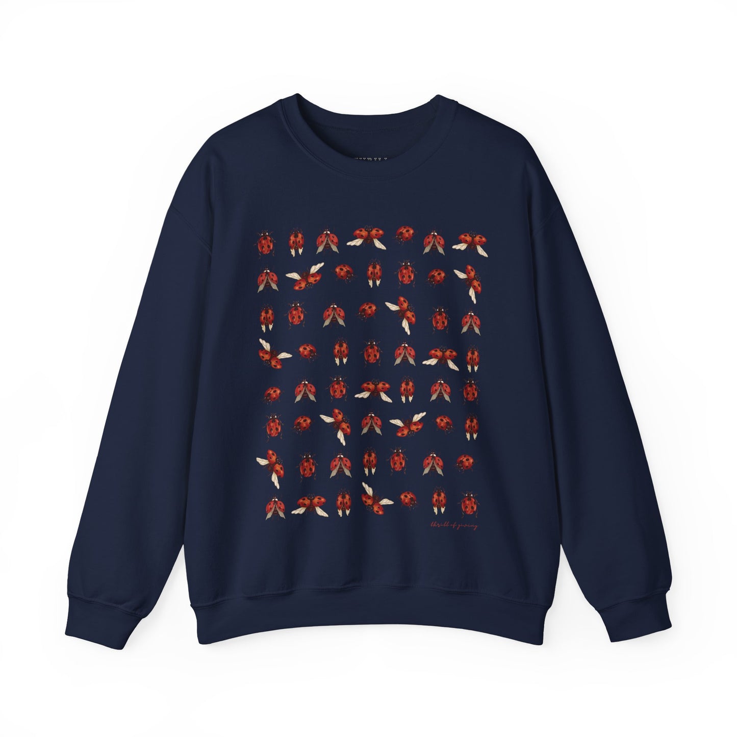 Ladybug Sweatshirt