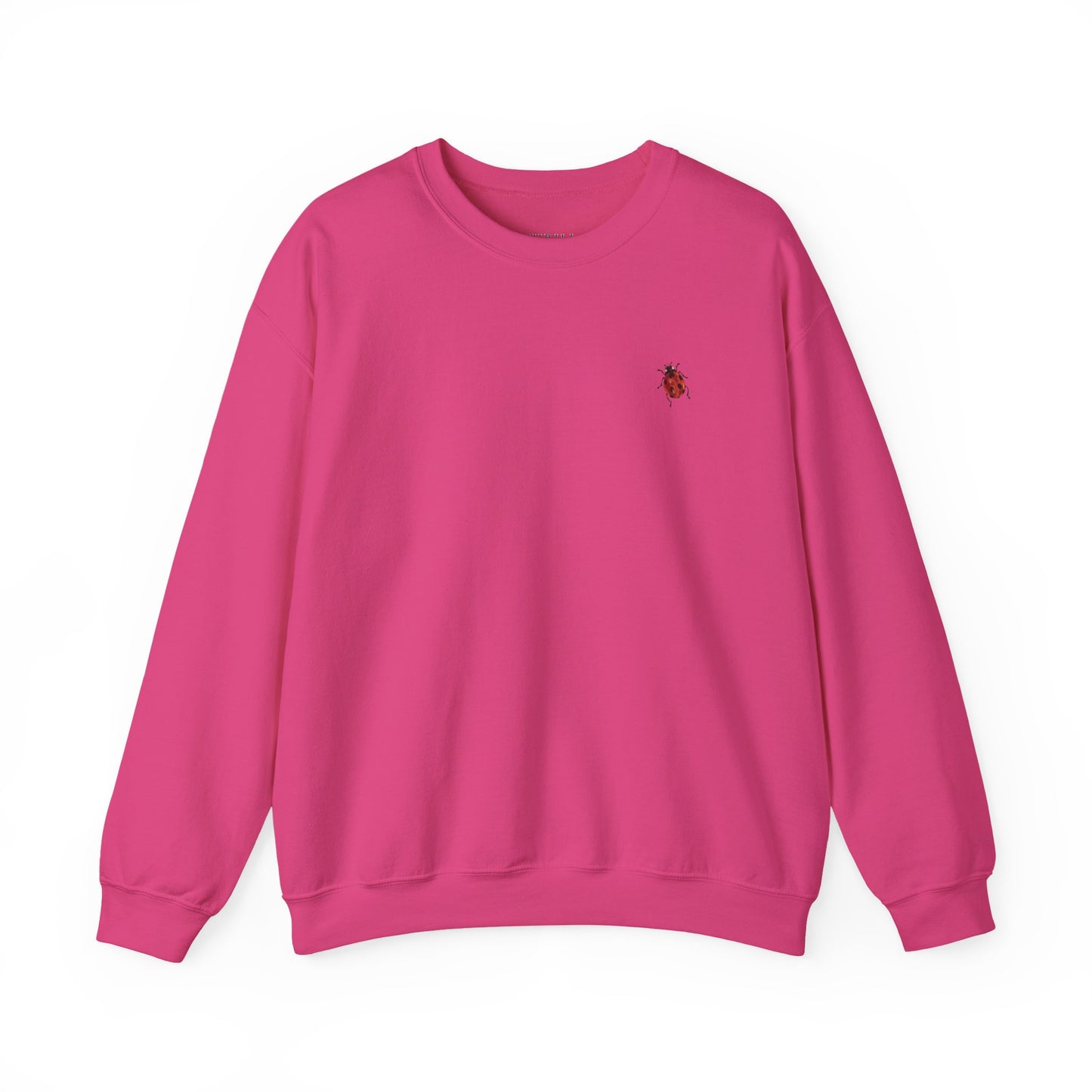 Cute Ladybug - Good Luck Sweatshirt
