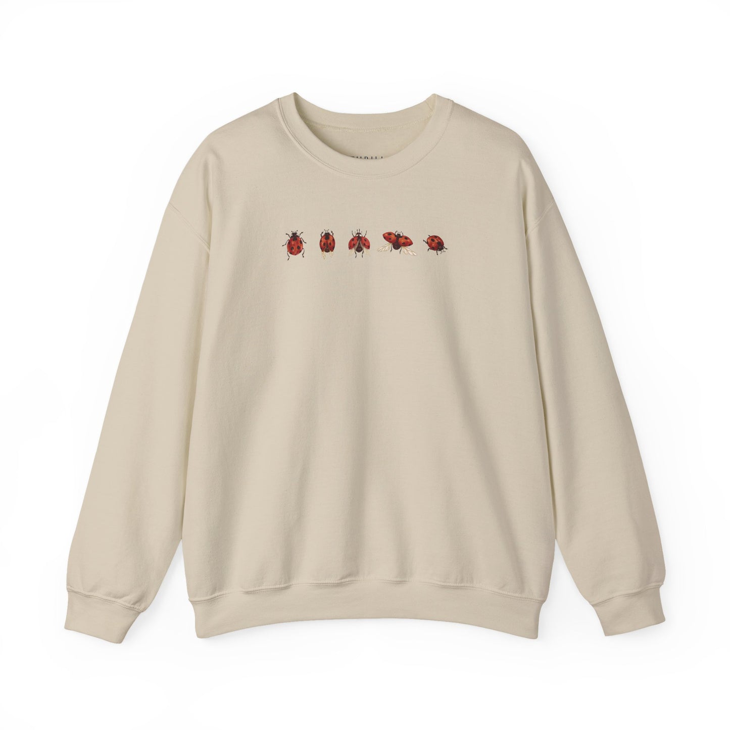 Minimal Ladybug Sweatshirt - Lucky You