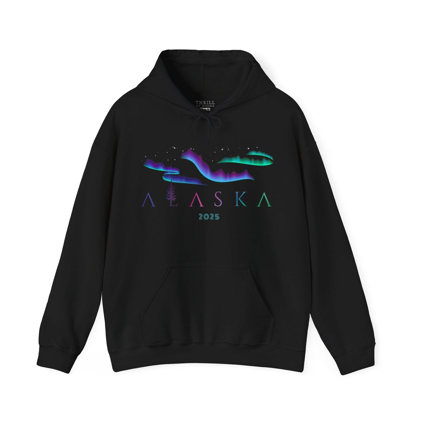 ALASKA Hoodie - Aurora Borealis Edition
