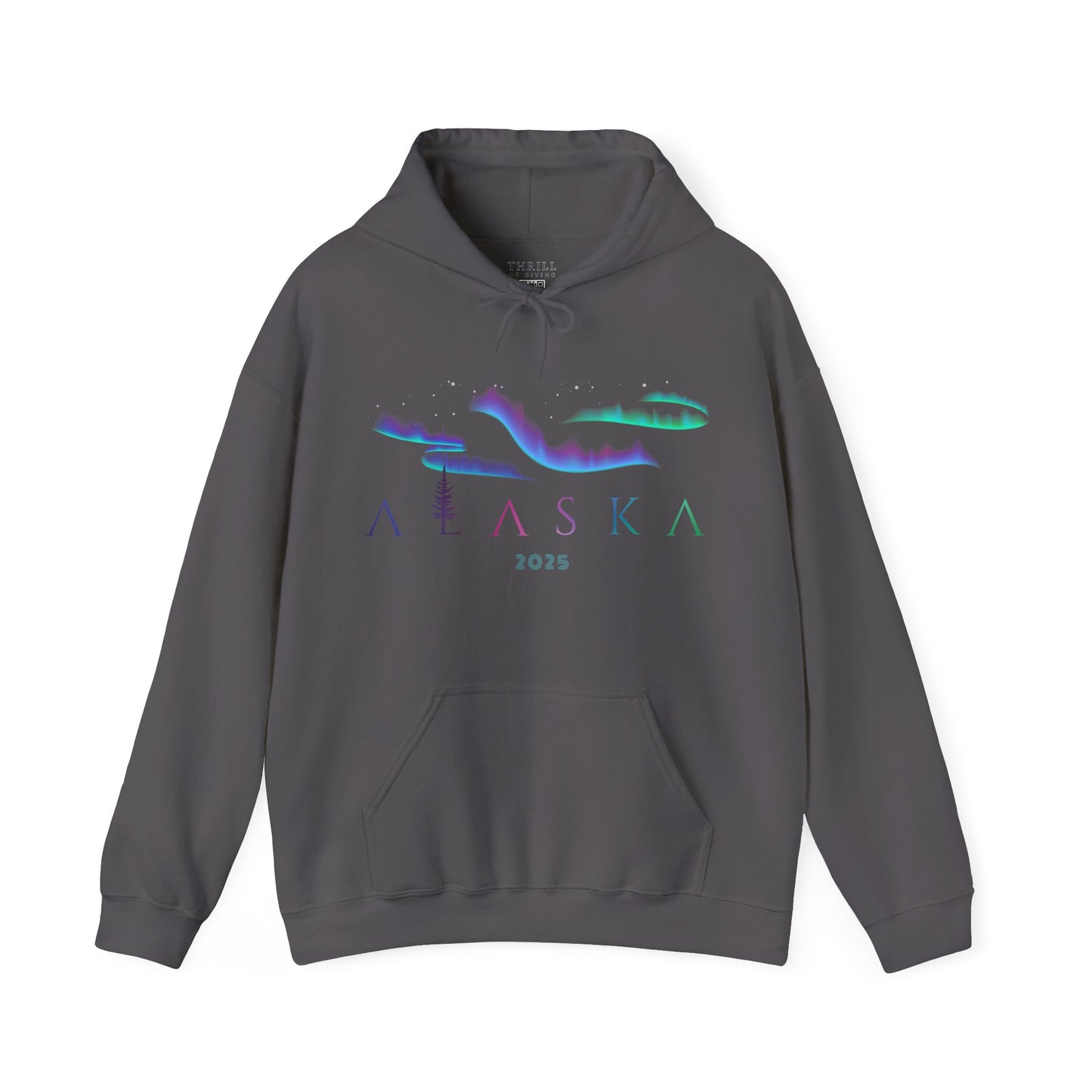 ALASKA Hoodie - Aurora Borealis Edition