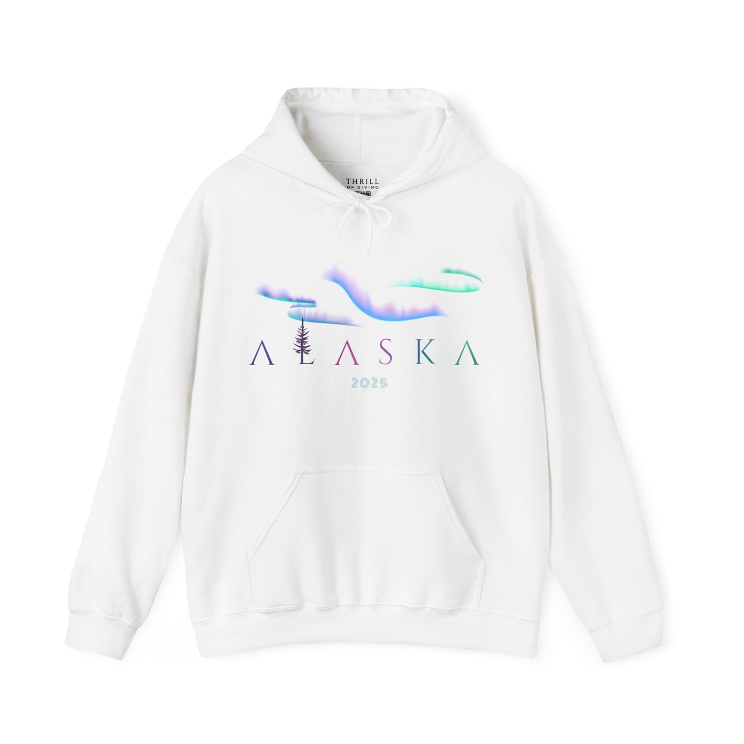 ALASKA Hoodie - Aurora Borealis Edition