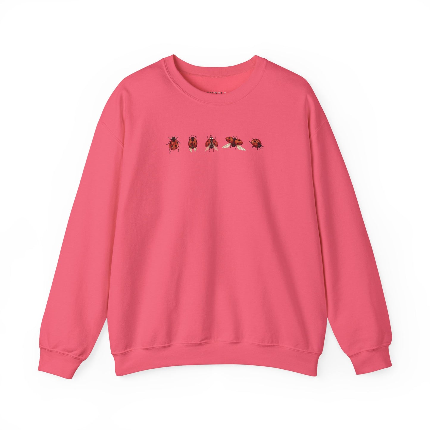 Minimal Ladybug Sweatshirt - Lucky You