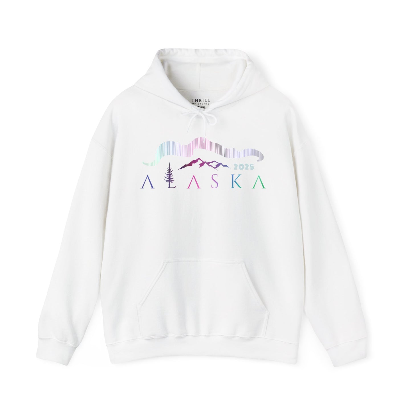 ALASKA Hoodie - Northern Lights