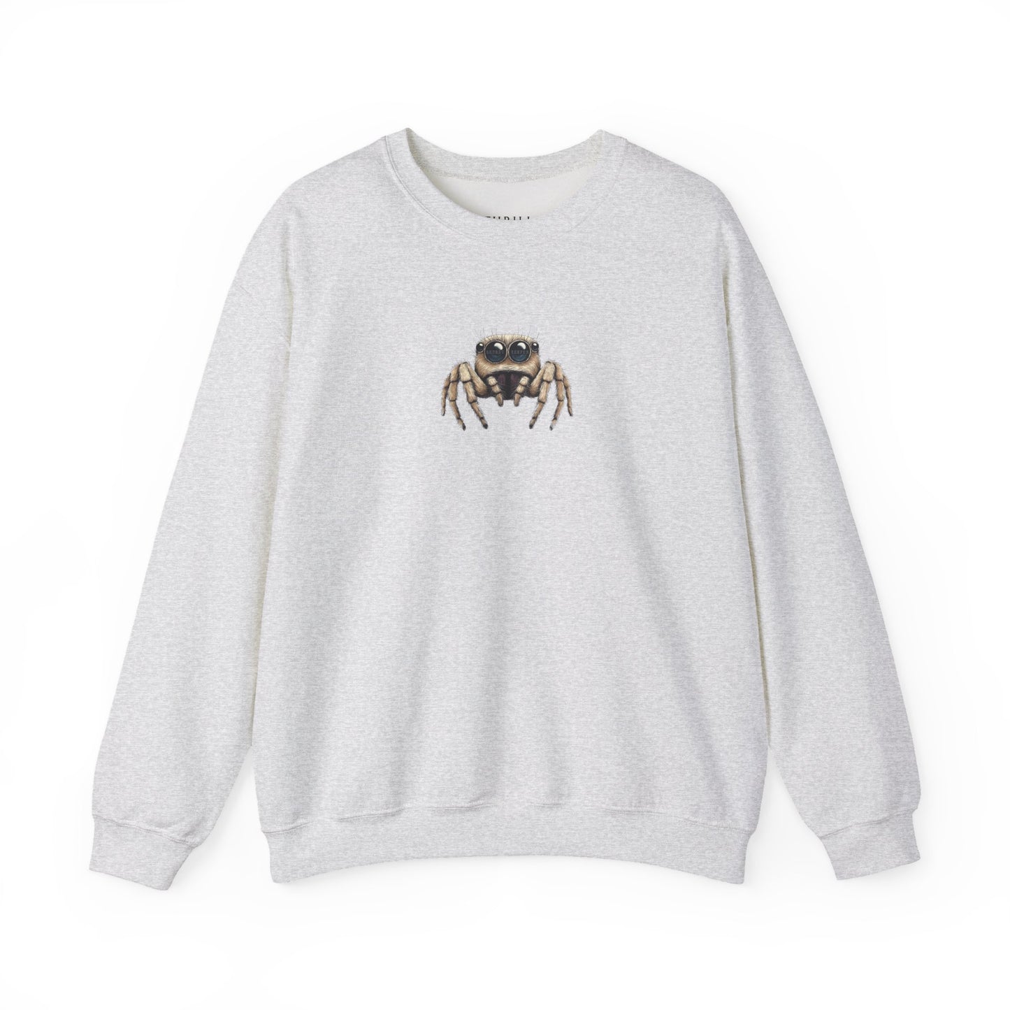 Secret Keeper Jumping Spider Sweatshirt