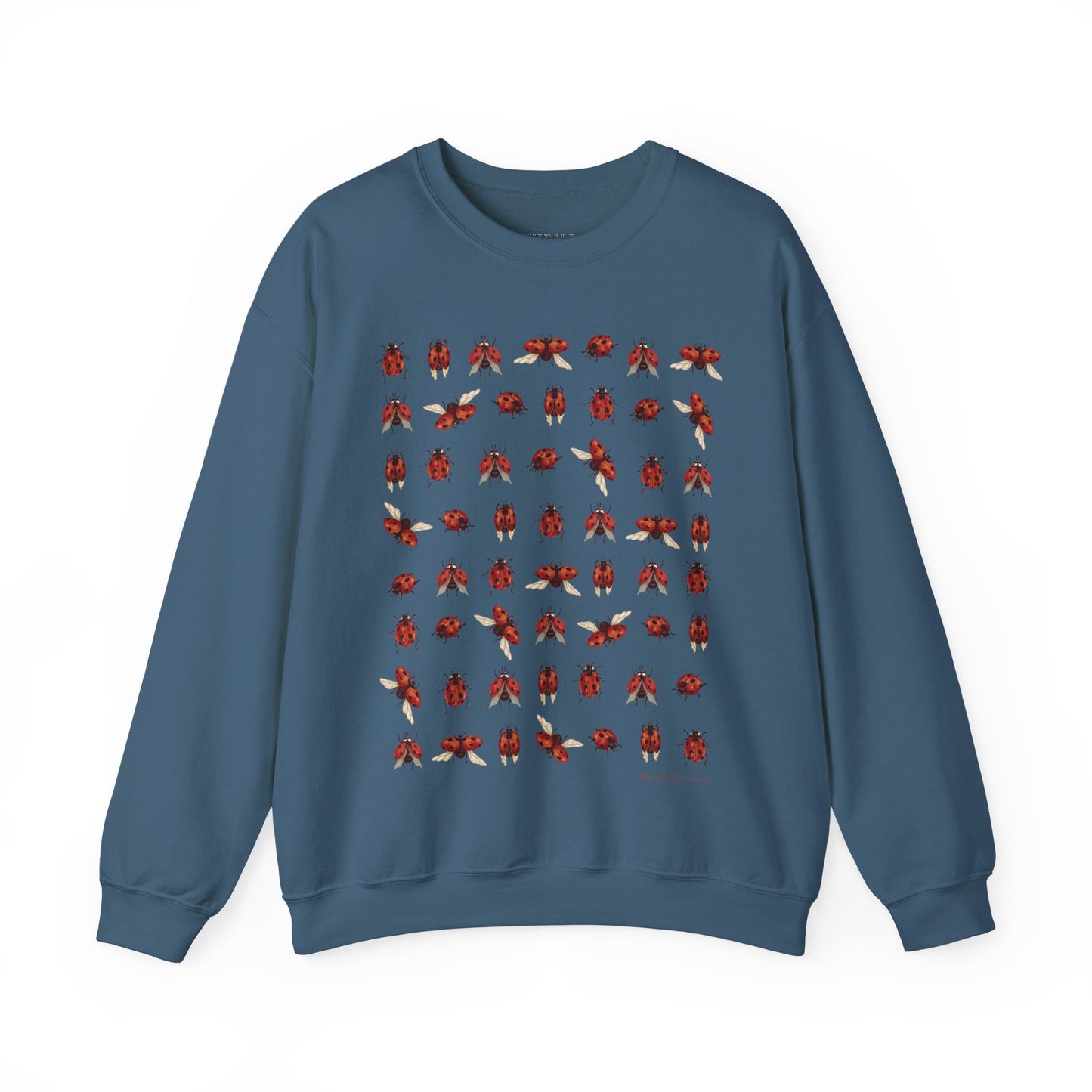 Ladybug Sweatshirt