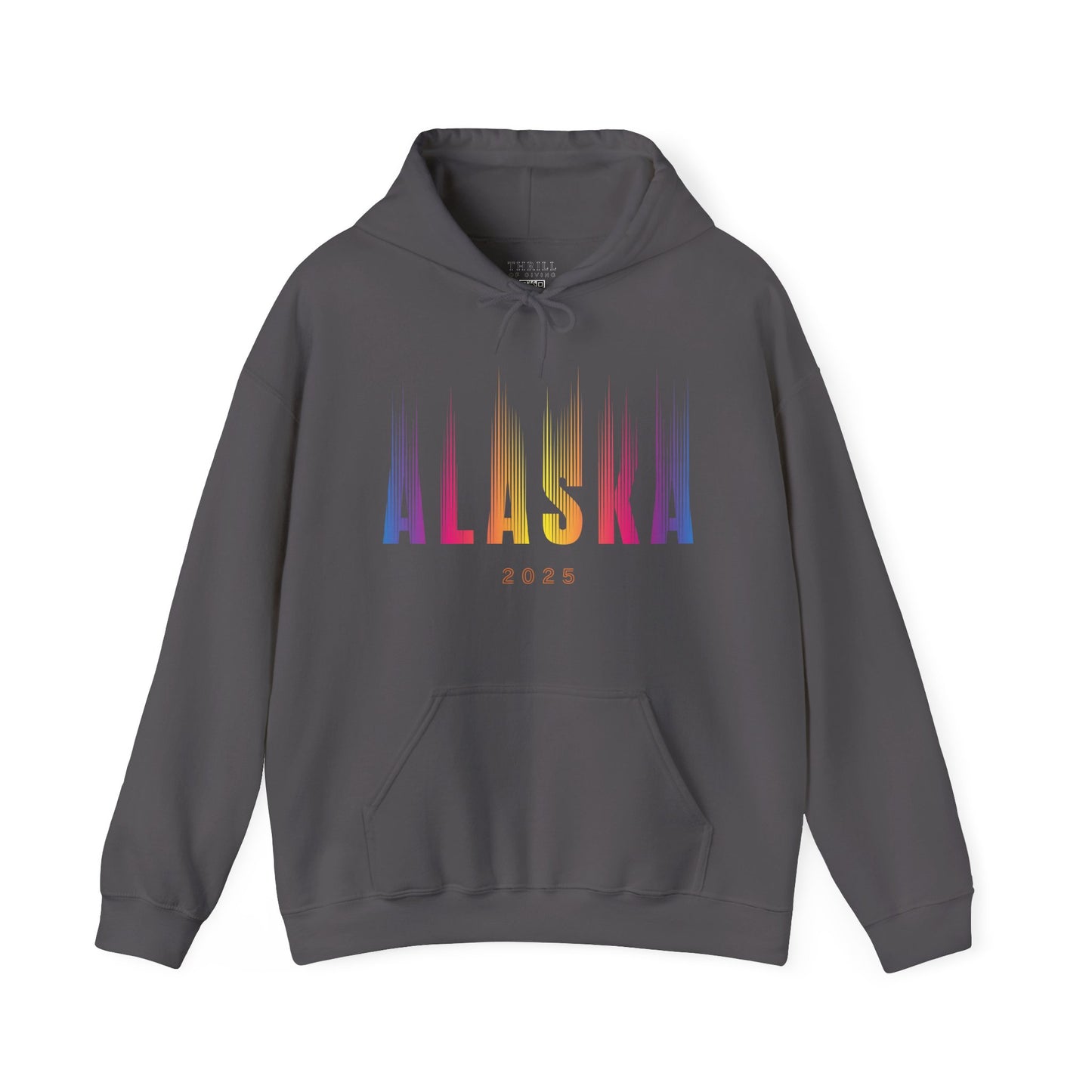 Aurora Borealis - ALASKA Hoodie