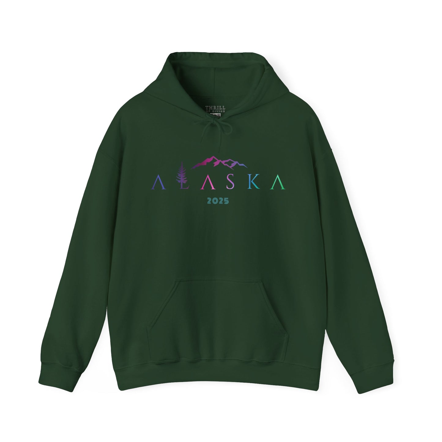 ALASKA Hoodie - Aurora Borealis EDITION