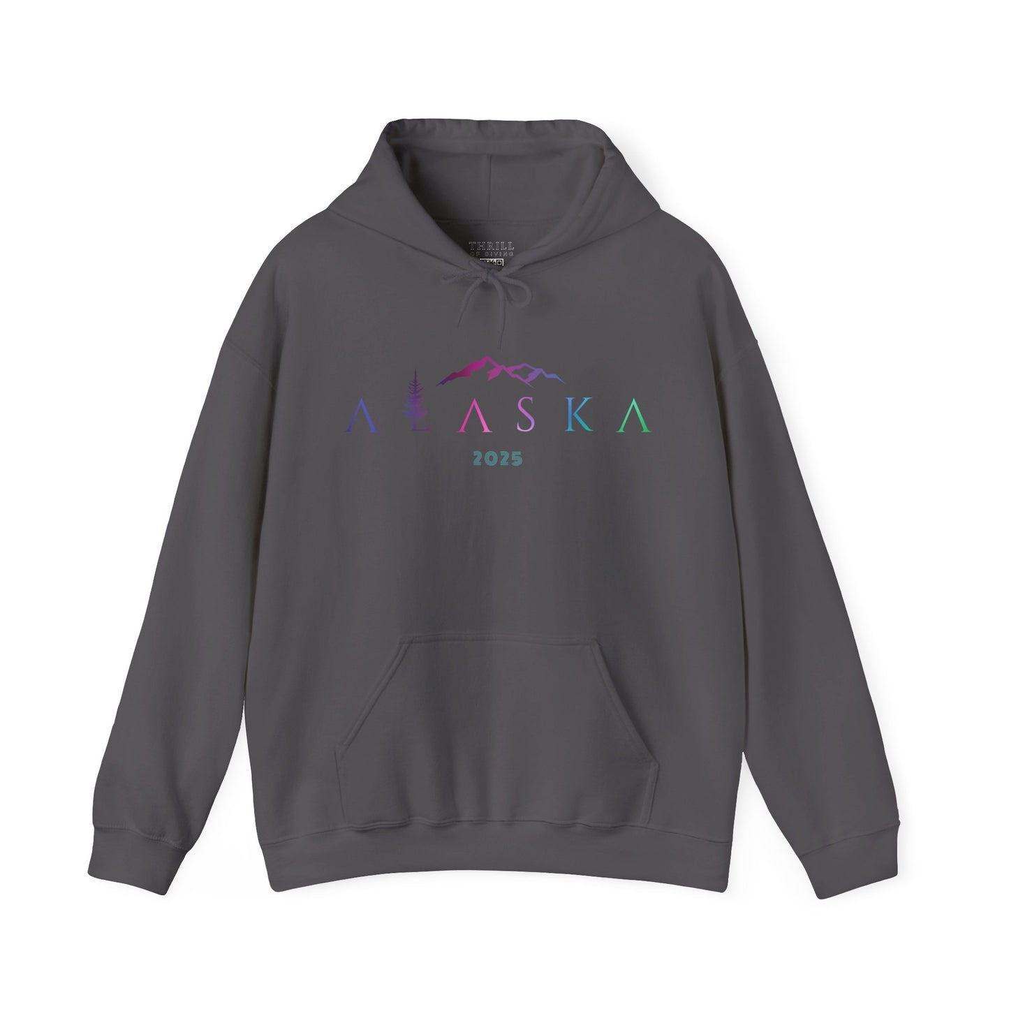 ALASKA Hoodie - Aurora Borealis EDITION