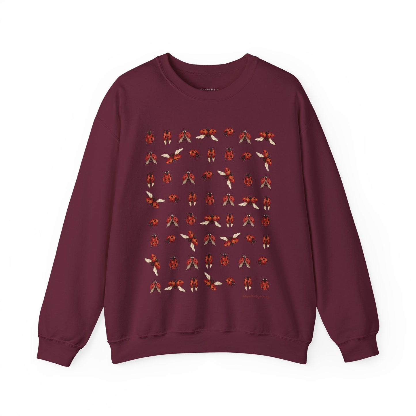 Ladybug Sweatshirt