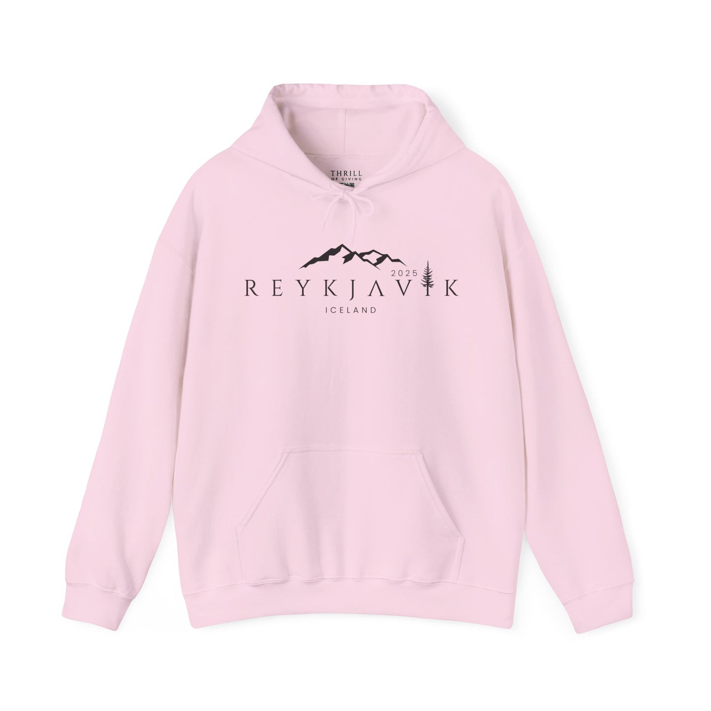 REIKJAVIK Iceland Hoodie - Custom