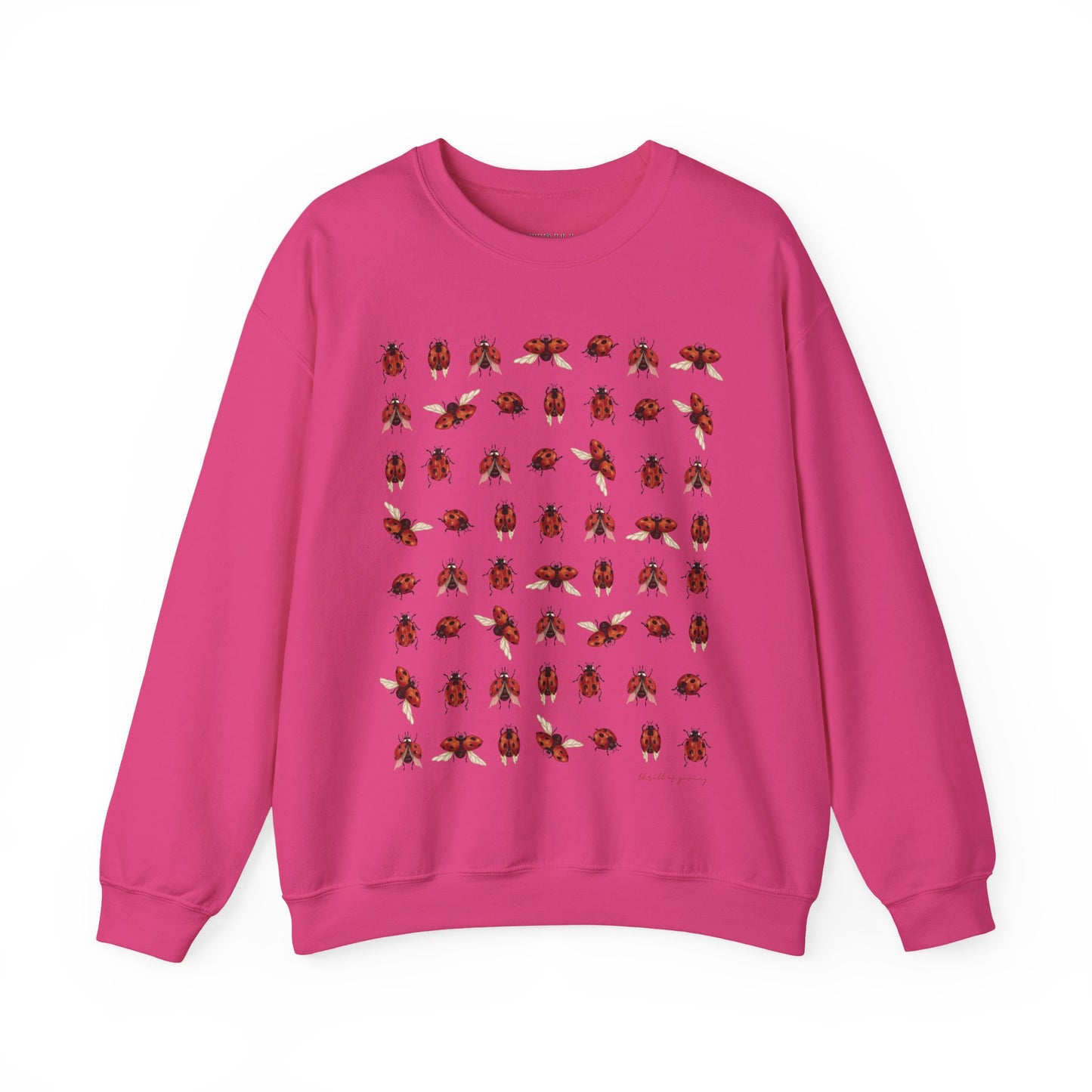 Ladybug Sweatshirt