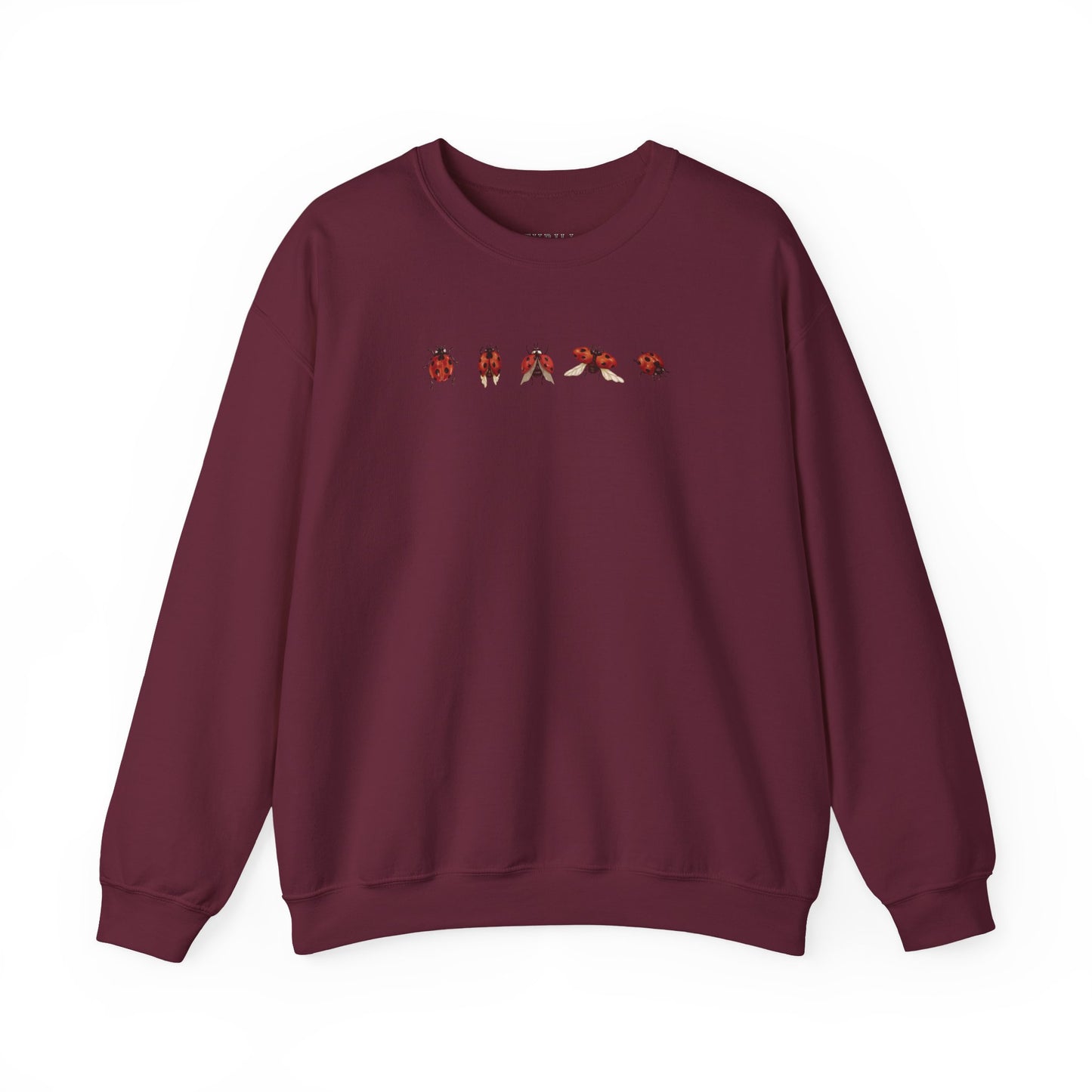 Minimal Ladybug Sweatshirt - Lucky You