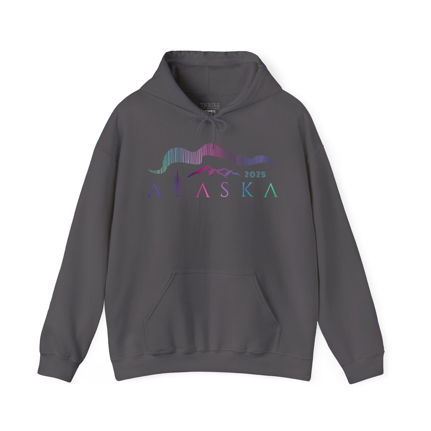 ALASKA Hoodie - Northern Lights