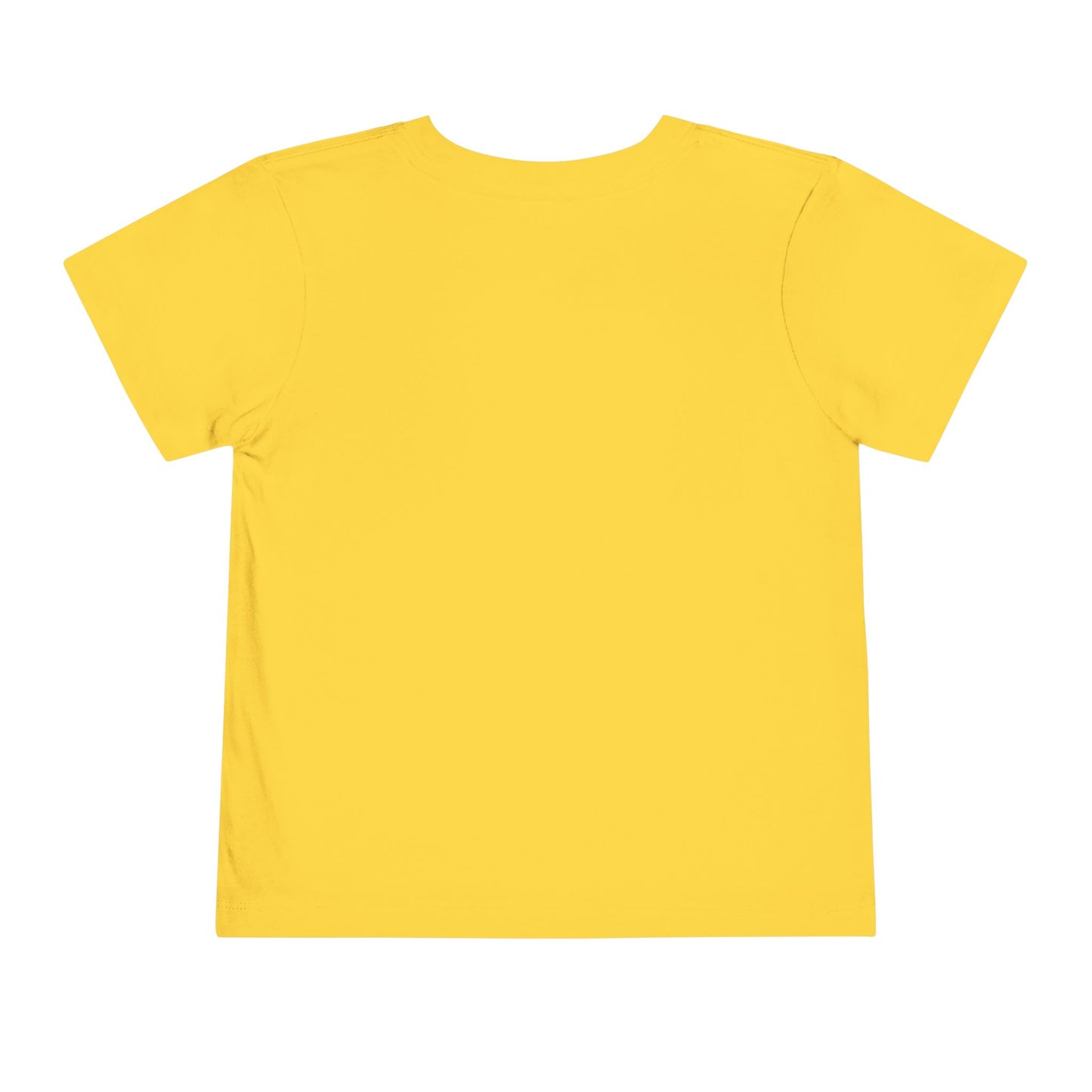Alaska T-shirt--Toddler--GROUP #1