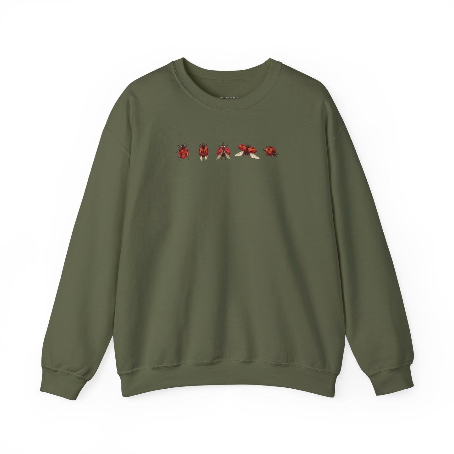 Minimal Ladybug Sweatshirt - Lucky You