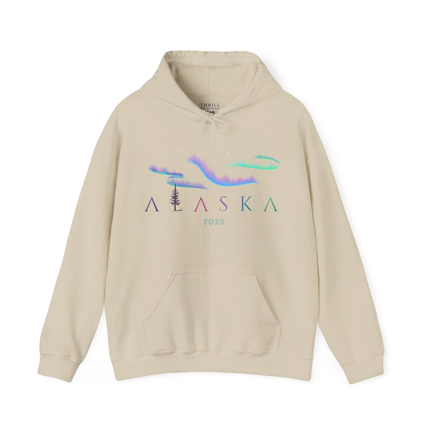 ALASKA Hoodie - Aurora Borealis Edition