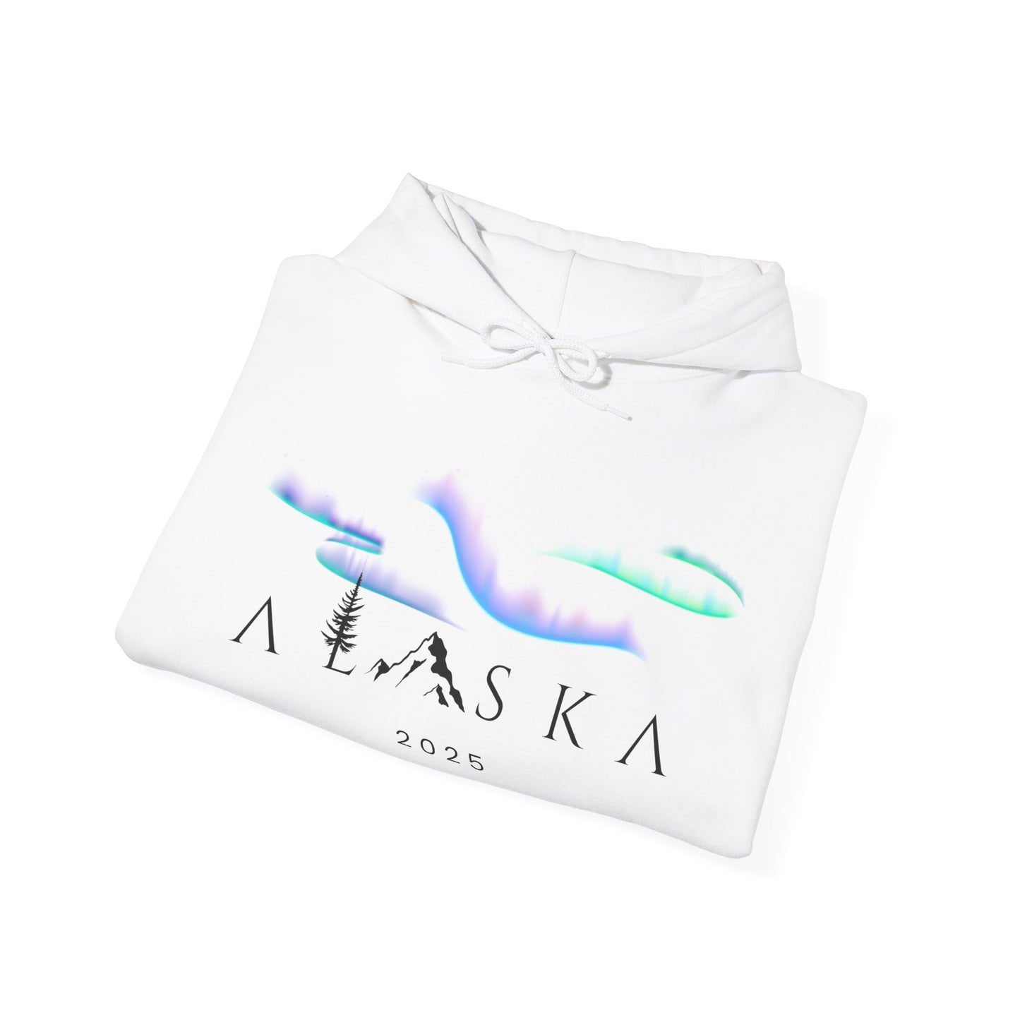 ALASKA Hoodie - Northern Lights Edition
