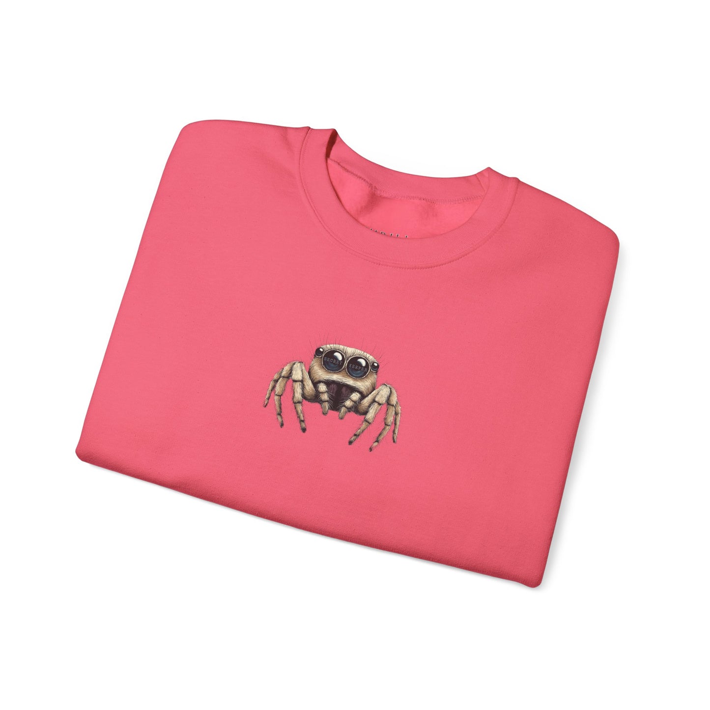 Secret Keeper Jumping Spider Sweatshirt