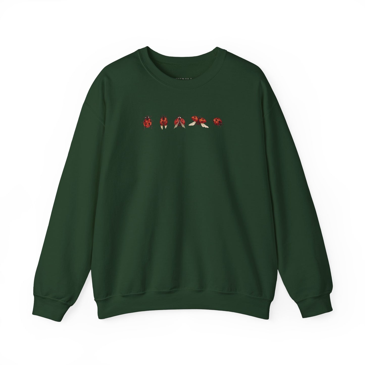 Minimal Ladybug Sweatshirt - Lucky You