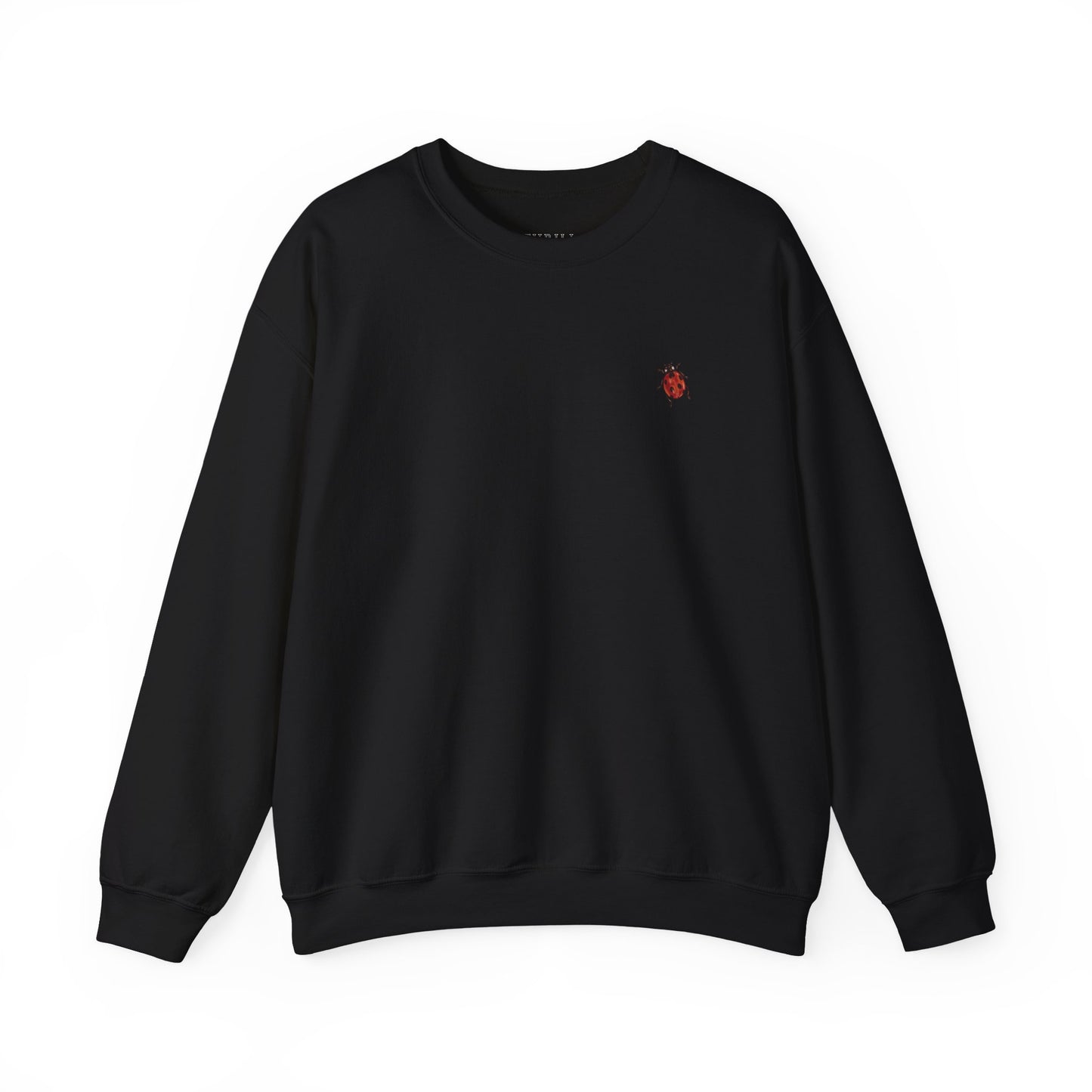 Cute Ladybug - Good Luck Sweatshirt
