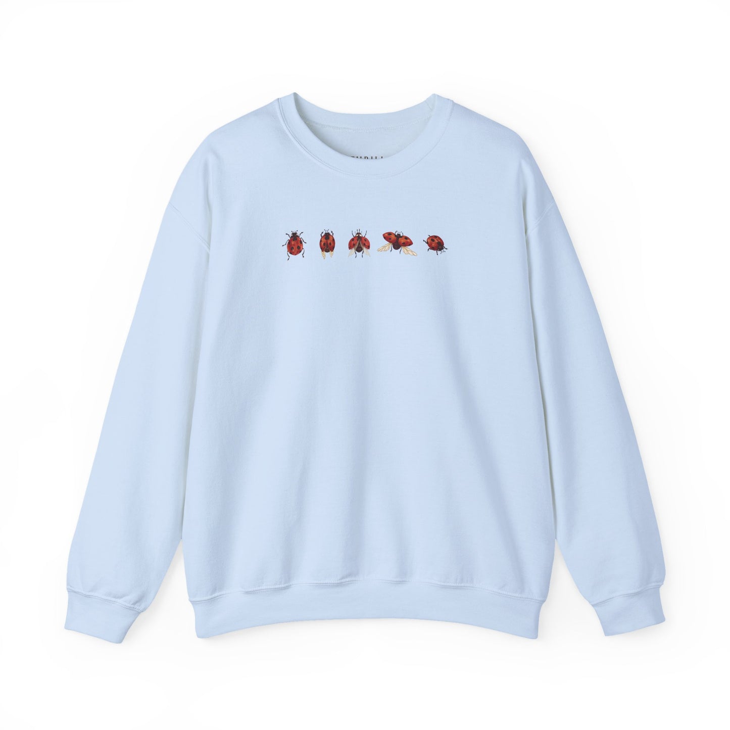 Minimal Ladybug Sweatshirt - Lucky You