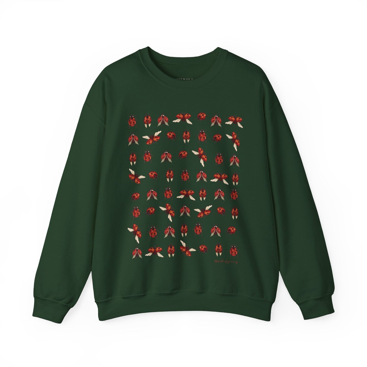 Ladybug Sweatshirt