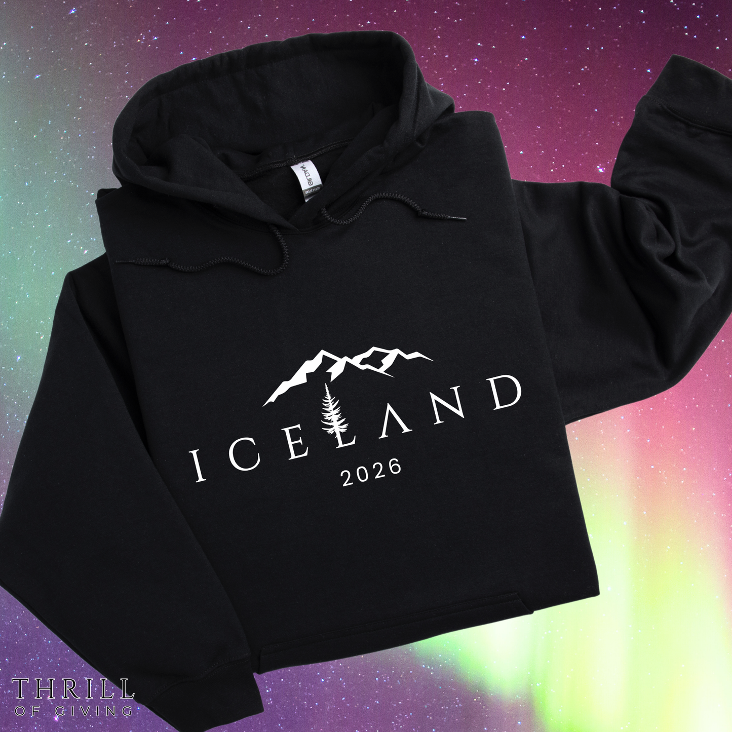 ICELAND Hoodie - the minimalist