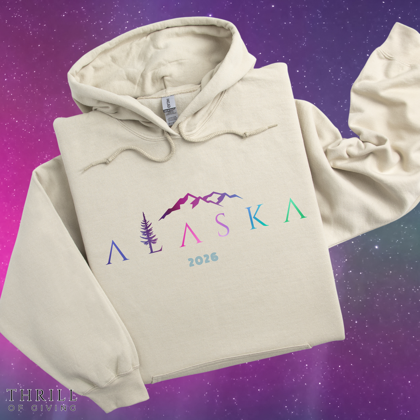 ALASKA Hoodie - Aurora Borealis EDITION