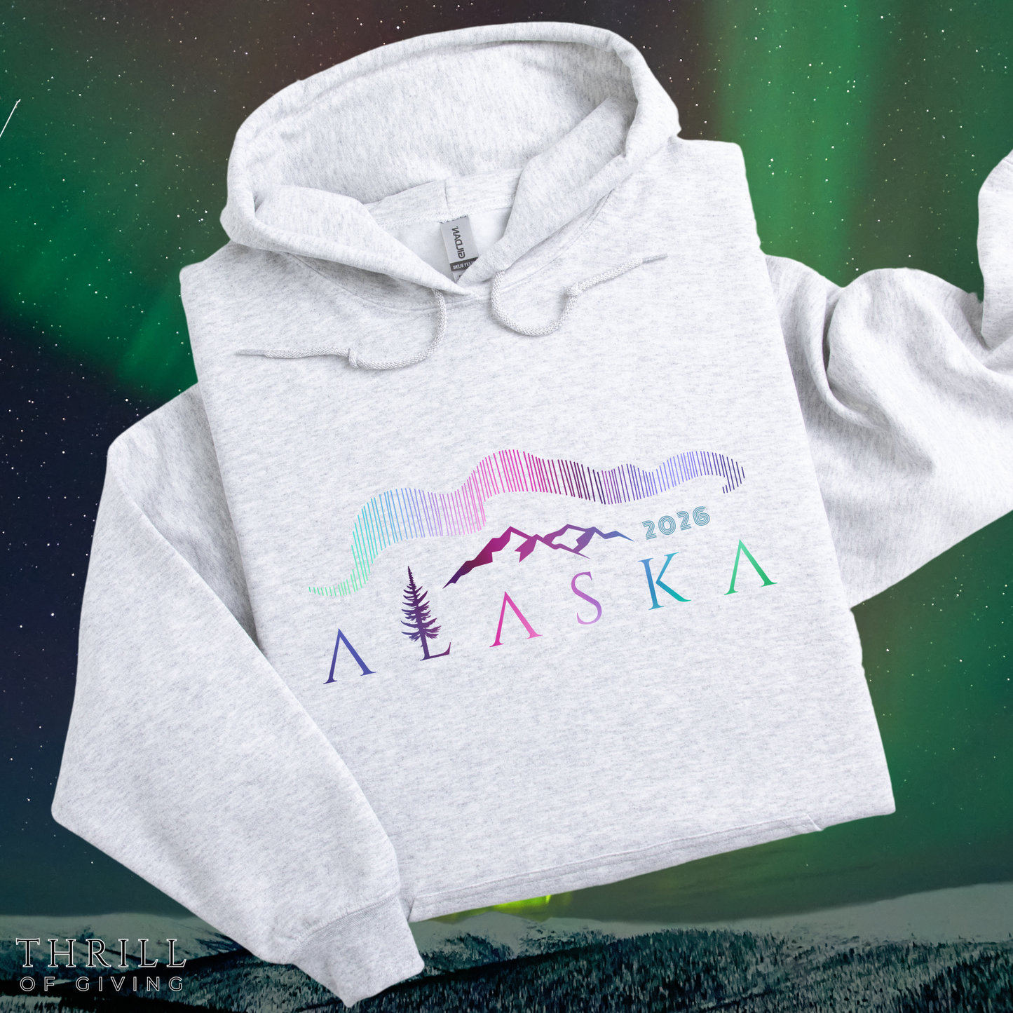 ALASKA Hoodie - Northern Lights