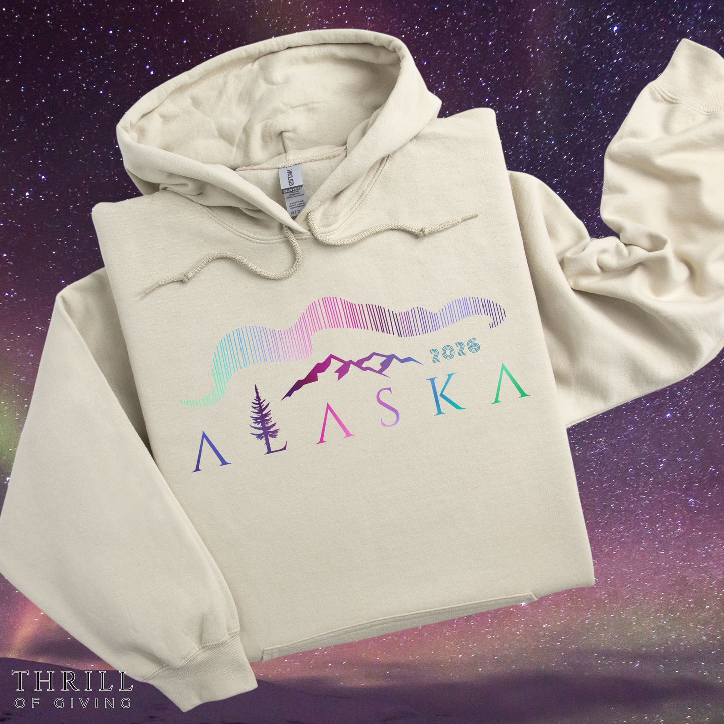 ALASKA Hoodie - Northern Lights