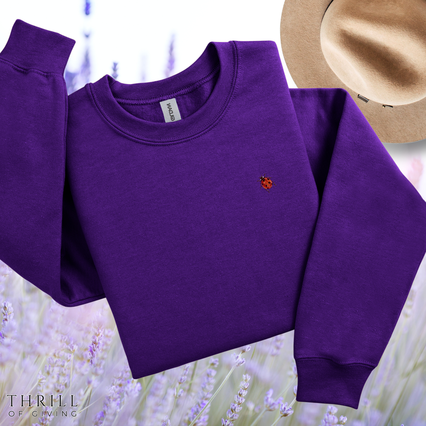 Cute Ladybug - Good Luck Sweatshirt