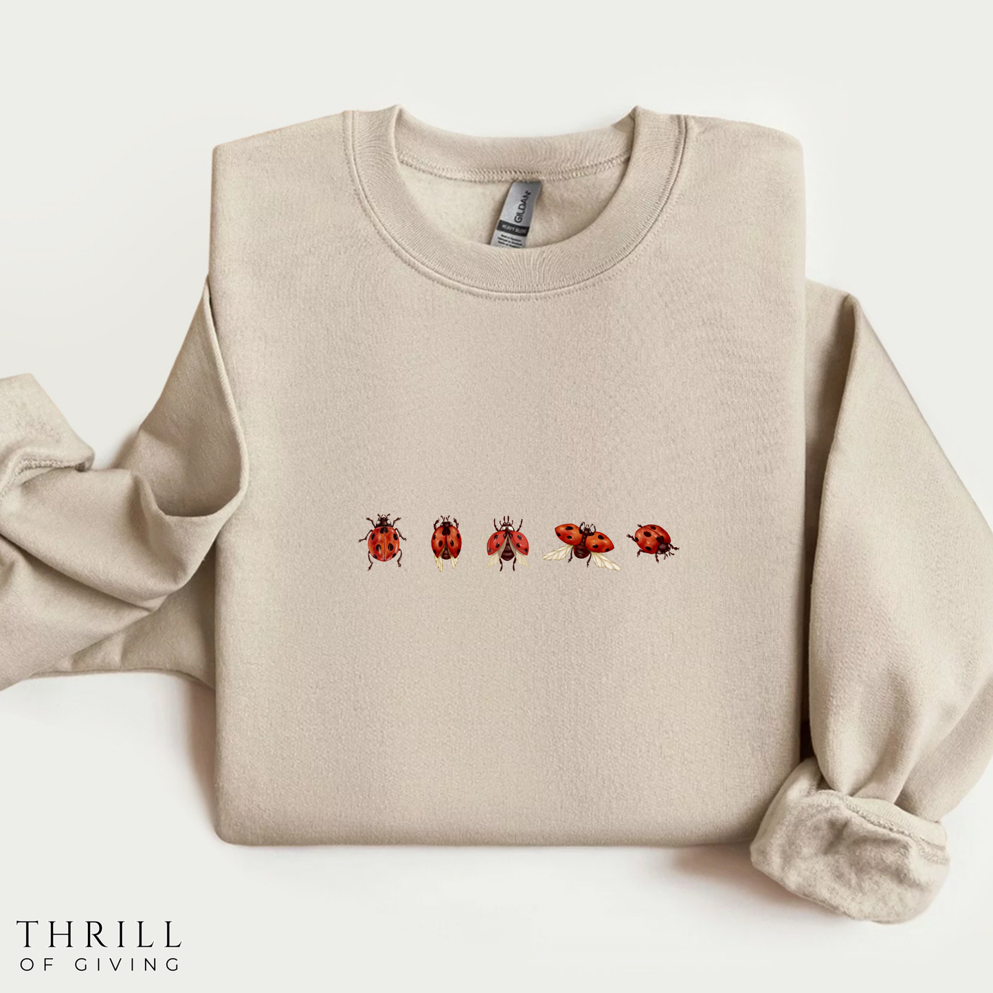 Minimal Ladybug Sweatshirt - Lucky You