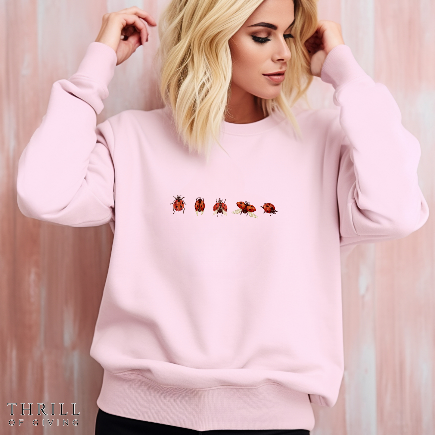Minimal Ladybug Sweatshirt - Lucky You