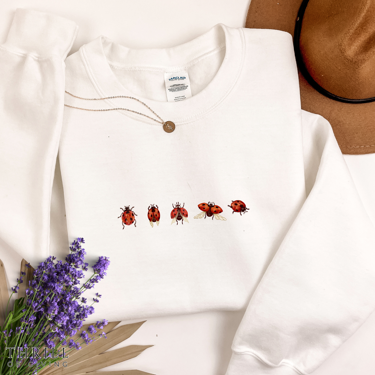 Minimal Ladybug Sweatshirt - Lucky You