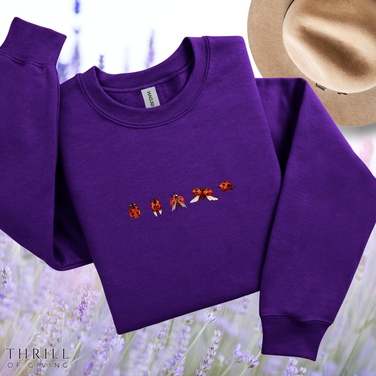 Minimal Ladybug Sweatshirt - Lucky You