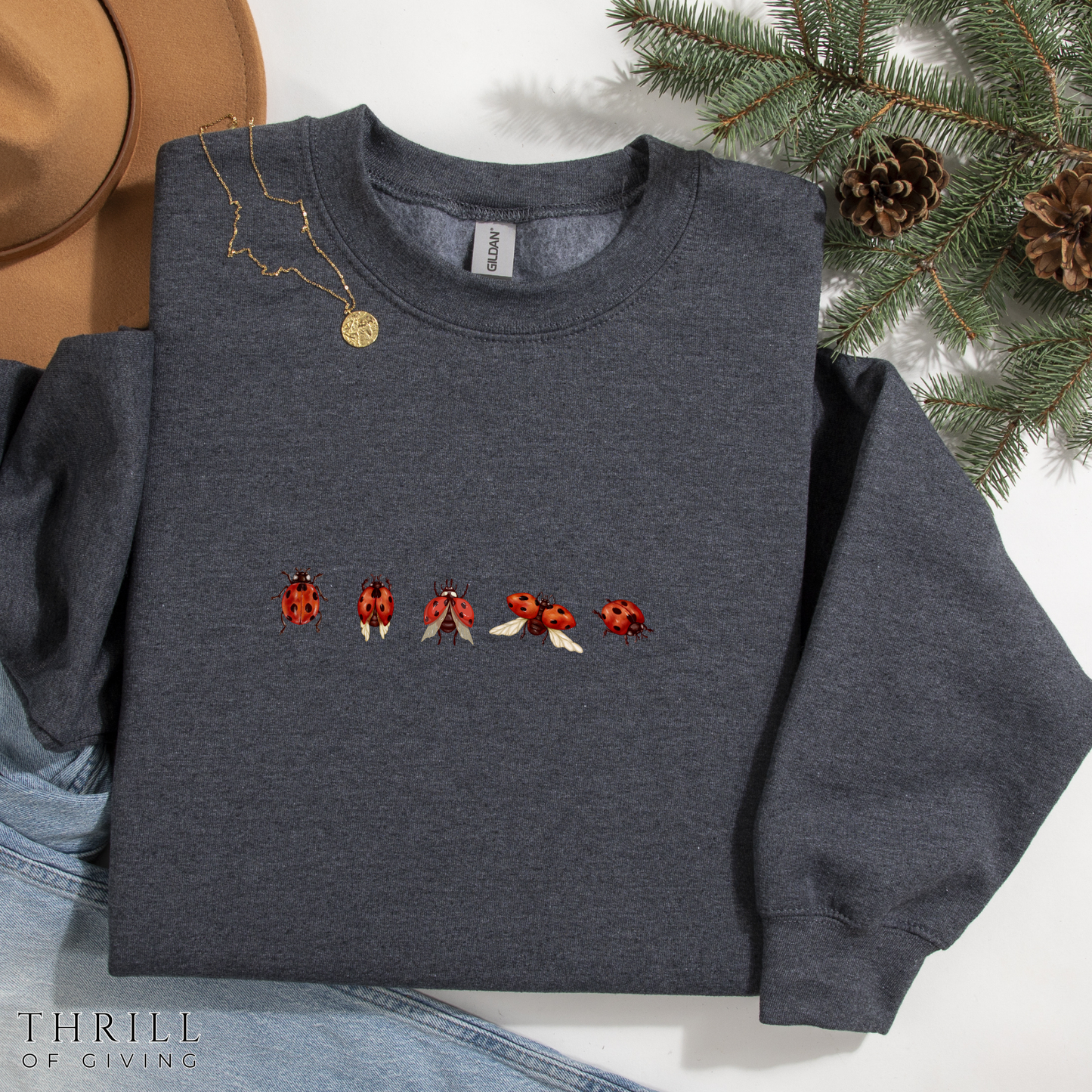 Minimal Ladybug Sweatshirt - Lucky You