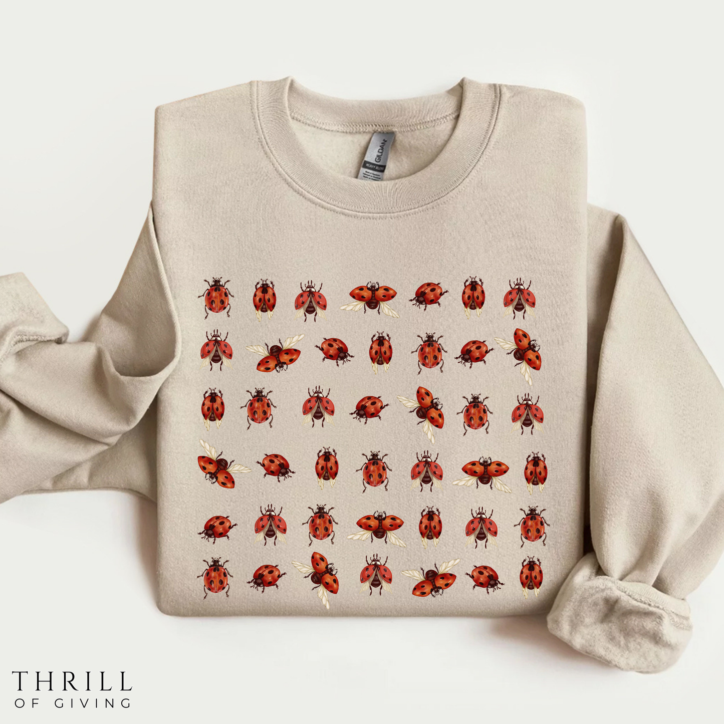 Ladybug Sweatshirt