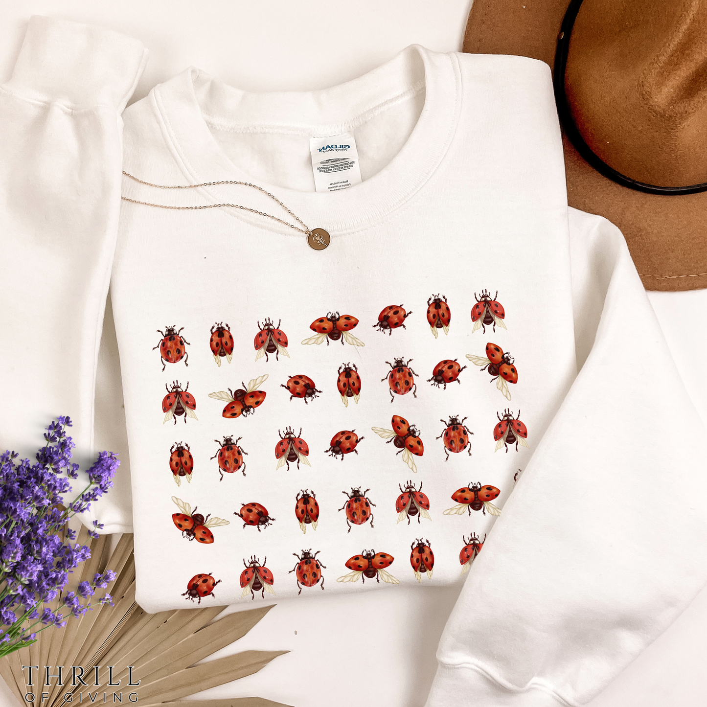 Ladybug Sweatshirt