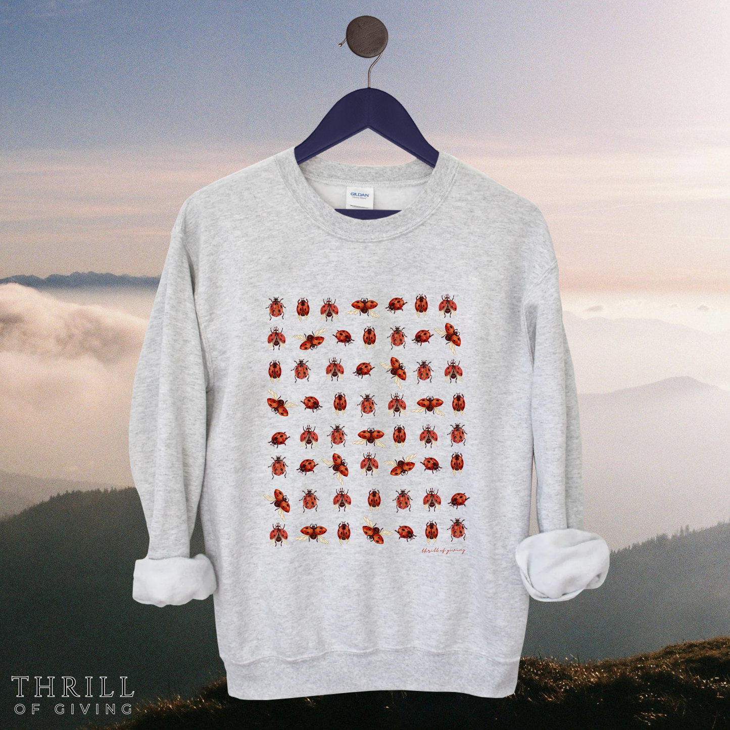 Ladybug Sweatshirt