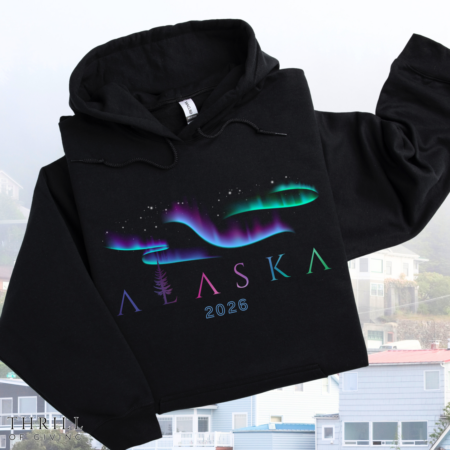 ALASKA Hoodie - Aurora Borealis Edition