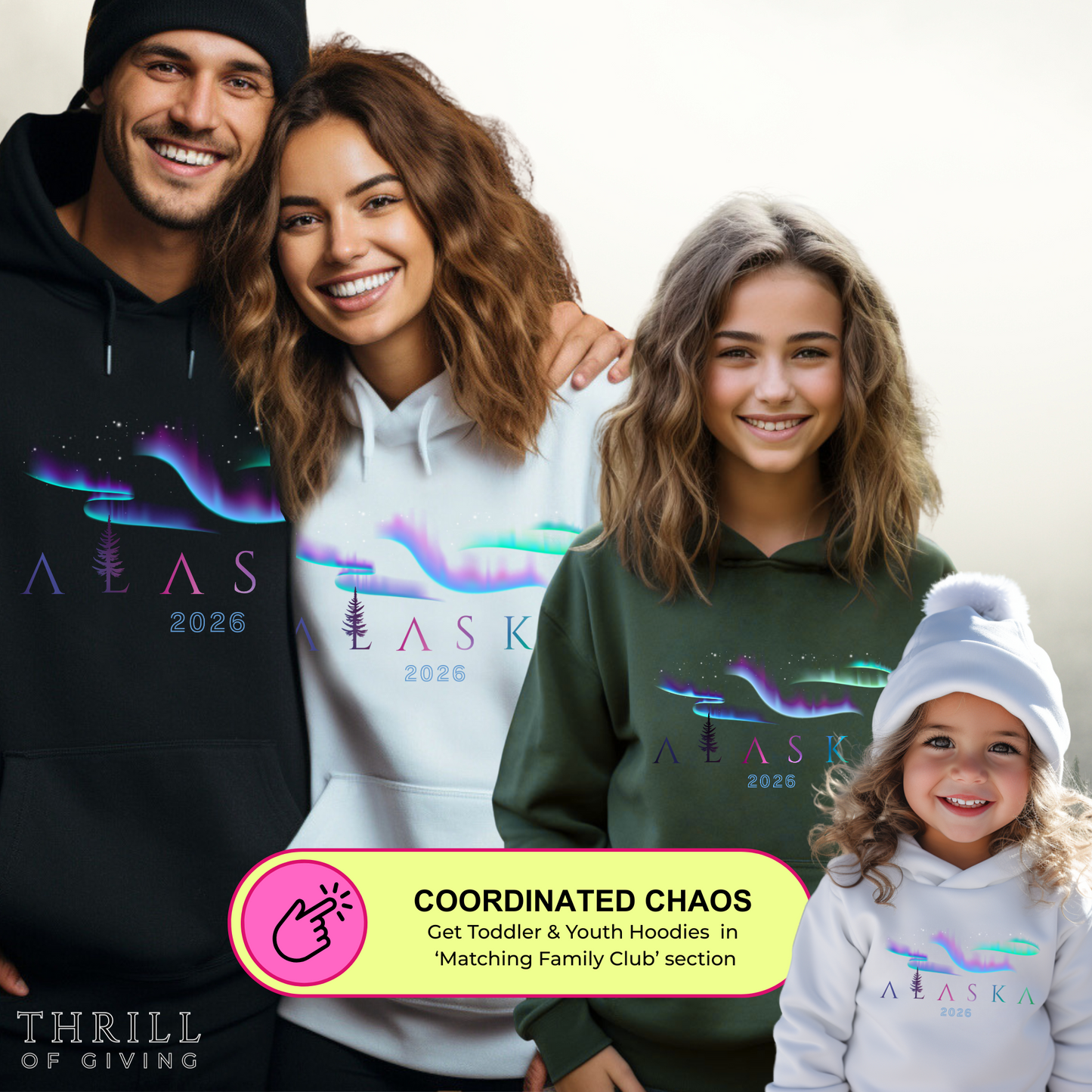 ALASKA Hoodie - Aurora Borealis Edition