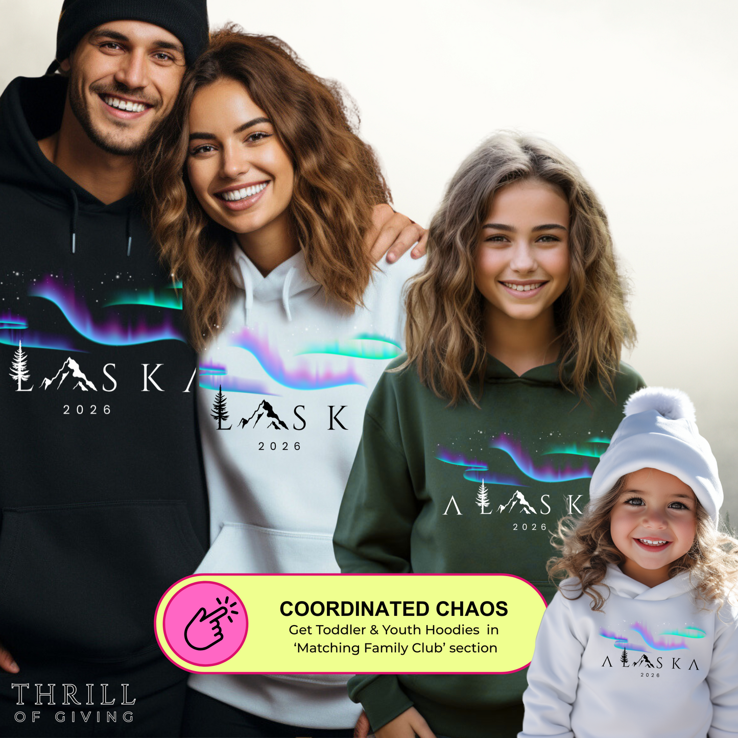 ALASKA Hoodie - Northern Lights Edition