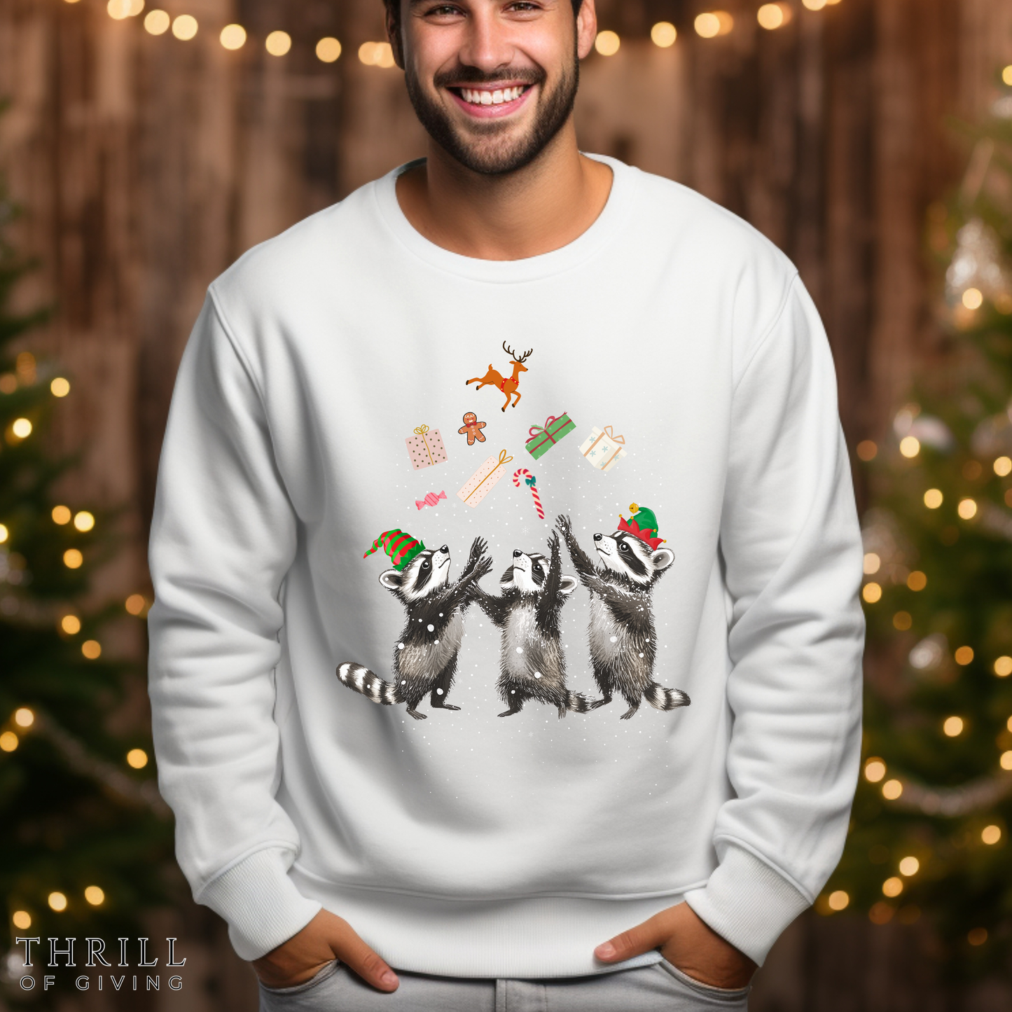 Elf Raccoon Holiday Sweatshirt