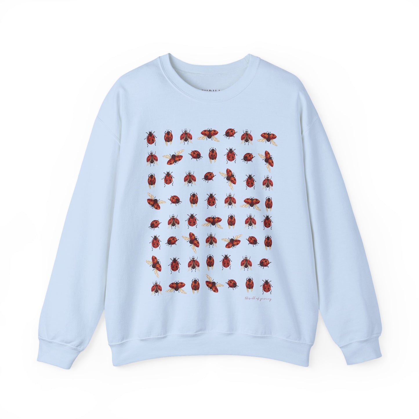 Ladybug Sweatshirt
