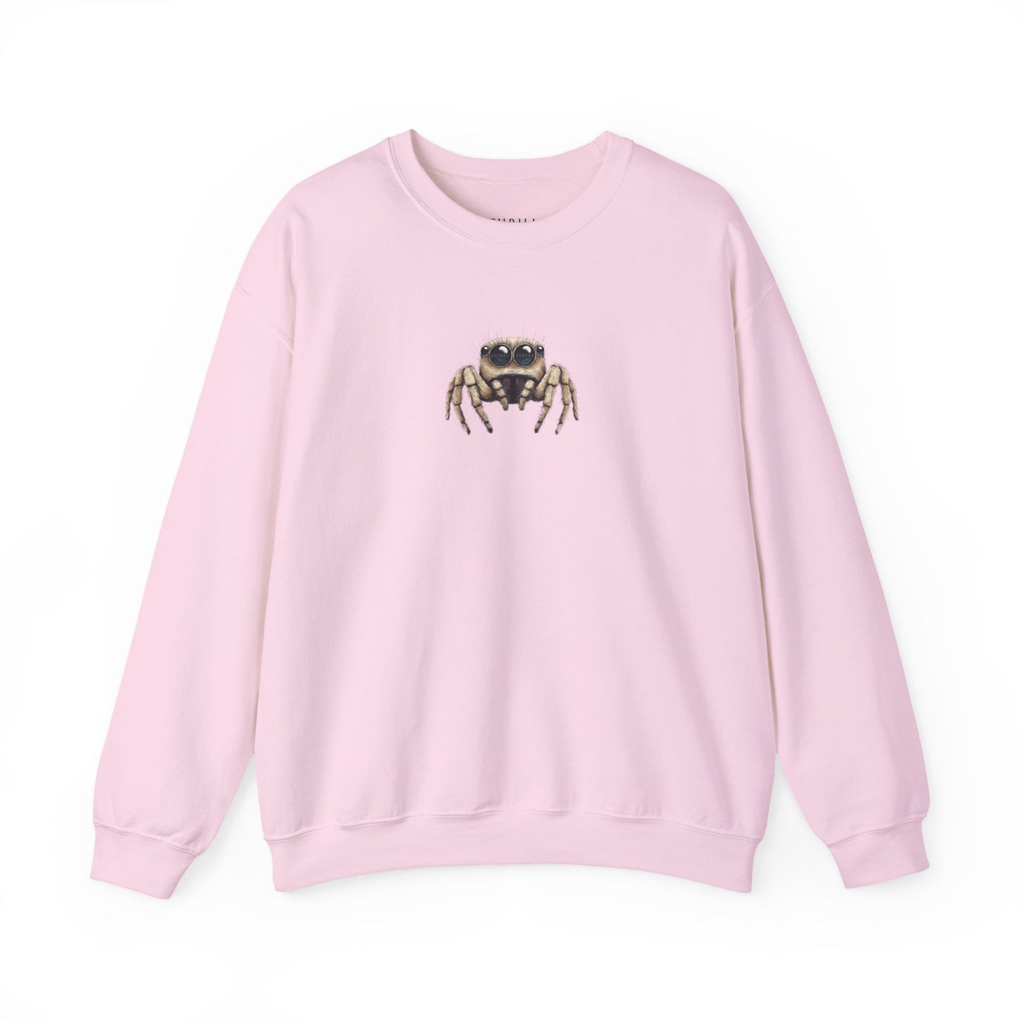 Secret Keeper Jumping Spider Sweatshirt